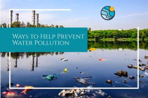 cite some ways to control water pollution in your community